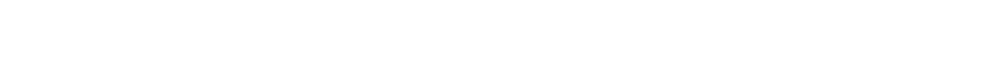 Branded horizontal line graphic